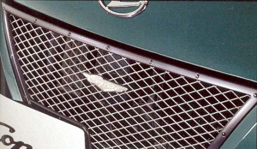 Kühlergrill mit Emblem